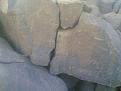 اضغط على الصورة لعرض أكبر. 

الإسم:	اسد3.jpg 
مشاهدات:	196 
الحجم:	26.7 كيلوبايت 
الهوية:	716475