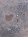 اضغط على الصورة لعرض أكبر. 

الإسم:	&#1589;&#1608;&#1585;&#1577;013..jpg 
مشاهدات:	177 
الحجم:	17.3 كيلوبايت 
الهوية:	717797