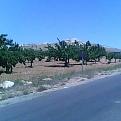 اضغط على الصورة لعرض أكبر. 

الإسم:	img0570a_924_18214&amp;amp;#4.jpg 
مشاهدات:	105 
الحجم:	13.6 كيلوبايت 
الهوية:	718024