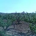 اضغط على الصورة لعرض أكبر. 

الإسم:	img0542a_922_18214&amp;amp;#4.jpg 
مشاهدات:	98 
الحجم:	21.8 كيلوبايت 
الهوية:	718026