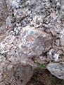اضغط على الصورة لعرض أكبر. 

الإسم:	صورة014.jpg 
مشاهدات:	578 
الحجم:	100.5 كيلوبايت 
الهوية:	722819