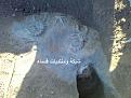 اضغط على الصورة لعرض أكبر. 

الإسم:	25476d1334596917-&#1575;&#1578;&#1581;&#1583;&#1609;-&#1575;&#1581;&#1583;-&#1575;&#1606;-&amp;amp;#1610.jpg 
مشاهدات:	246 
الحجم:	88.5 كيلوبايت 
الهوية:	723745