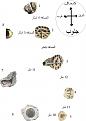 اضغط على الصورة لعرض أكبر. 

الإسم:	2.jpg 
مشاهدات:	302 
الحجم:	161.4 كيلوبايت 
الهوية:	724677