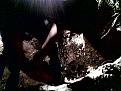 اضغط على الصورة لعرض أكبر. 

الإسم:	&#1589;&#1608;&#1585;&#1577;(04).jpg 
مشاهدات:	356 
الحجم:	42.6 كيلوبايت 
الهوية:	725012