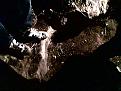 اضغط على الصورة لعرض أكبر. 

الإسم:	&#1589;&#1608;&#1585;&#1577;(06).jpg 
مشاهدات:	334 
الحجم:	43.5 كيلوبايت 
الهوية:	725013