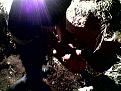 اضغط على الصورة لعرض أكبر. 

الإسم:	&#1589;&#1608;&#1585;&#1577;(08).jpg 
مشاهدات:	334 
الحجم:	51.1 كيلوبايت 
الهوية:	725014