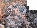 اضغط على الصورة لعرض أكبر. 

الإسم:	&#1575;&#1604;&#1575;&#1588;&#1575;&#1585;&#1577; 3.jpg 
مشاهدات:	151 
الحجم:	253.1 كيلوبايت 
الهوية:	725280