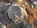 اضغط على الصورة لعرض أكبر. 

الإسم:	&#1575;&#1604;&#1585;&#1575;&#1587; &#1608; &#1575;&#1604;&#1587;&#1610;&#1575;&#1604;.jpg 
مشاهدات:	220 
الحجم:	277.2 كيلوبايت 
الهوية:	725392