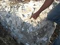 اضغط على الصورة لعرض أكبر. 

الإسم:	IMG_3402.JPG 
مشاهدات:	148 
الحجم:	246.6 كيلوبايت 
الهوية:	725502