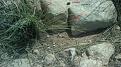 اضغط على الصورة لعرض أكبر. 

الإسم:	Photo0288.jpg 
مشاهدات:	166 
الحجم:	112.2 كيلوبايت 
الهوية:	726947