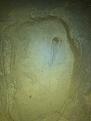 اضغط على الصورة لعرض أكبر. 

الإسم:	IMG-20120608-WA0001.jpg 
مشاهدات:	231 
الحجم:	28.6 كيلوبايت 
الهوية:	727509