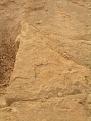 اضغط على الصورة لعرض أكبر. 

الإسم:	CIMG5258.JPG 
مشاهدات:	127 
الحجم:	1.60 ميجابايت 
الهوية:	729150