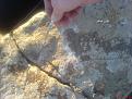 اضغط على الصورة لعرض أكبر. 

الإسم:	DSC00007.JPG 
مشاهدات:	126 
الحجم:	495.1 كيلوبايت 
الهوية:	729798
