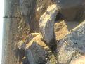 اضغط على الصورة لعرض أكبر. 

الإسم:	DSC00010.JPG 
مشاهدات:	132 
الحجم:	467.5 كيلوبايت 
الهوية:	729801