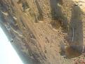 اضغط على الصورة لعرض أكبر. 

الإسم:	DSC00011.JPG 
مشاهدات:	128 
الحجم:	430.4 كيلوبايت 
الهوية:	729802