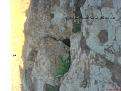 اضغط على الصورة لعرض أكبر. 

الإسم:	DSC00013.JPG 
مشاهدات:	141 
الحجم:	361.3 كيلوبايت 
الهوية:	729804