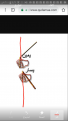 Screenshot_٢٠١٩٠٥٠٣-٠٤٠١٢٤.png