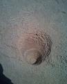 اضغط على الصورة لعرض أكبر. 

الإسم:	جرن.jpg 
مشاهدات:	528 
الحجم:	89.3 كيلوبايت 
الهوية:	754920