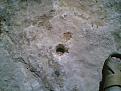 اضغط على الصورة لعرض أكبر. 

الإسم:	Image(368).jpg 
مشاهدات:	218 
الحجم:	92.0 كيلوبايت 
الهوية:	755085