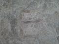 اضغط على الصورة لعرض أكبر. 

الإسم:	DSC00088.JPG 
مشاهدات:	1073 
الحجم:	28.5 كيلوبايت 
الهوية:	755575