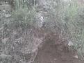 اضغط على الصورة لعرض أكبر. 

الإسم:	DSC00100.JPG 
مشاهدات:	604 
الحجم:	35.1 كيلوبايت 
الهوية:	755578