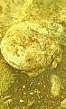 اضغط على الصورة لعرض أكبر. 

الإسم:	IMG0198A.jpg 
مشاهدات:	184 
الحجم:	37.0 كيلوبايت 
الهوية:	755667