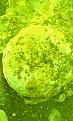اضغط على الصورة لعرض أكبر. 

الإسم:	IMG0200A.jpg 
مشاهدات:	177 
الحجم:	38.5 كيلوبايت 
الهوية:	755668