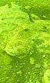 اضغط على الصورة لعرض أكبر. 

الإسم:	IMG0201A.jpg 
مشاهدات:	175 
الحجم:	39.9 كيلوبايت 
الهوية:	755669