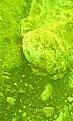 اضغط على الصورة لعرض أكبر. 

الإسم:	IMG0199A.jpg 
مشاهدات:	169 
الحجم:	37.9 كيلوبايت 
الهوية:	755670