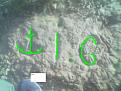 اضغط على الصورة لعرض أكبر. 

الإسم:	Photogggggggggg.jpg 
مشاهدات:	239 
الحجم:	36.3 كيلوبايت 
الهوية:	756609