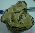 اضغط على الصورة لعرض أكبر. 

الإسم:	DSC0  2038.jpg 
مشاهدات:	382 
الحجم:	55.8 كيلوبايت 
الهوية:	757017