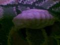 اضغط على الصورة لعرض أكبر. 

الإسم:	صورة150.jpg 
مشاهدات:	329 
الحجم:	93.7 كيلوبايت 
الهوية:	757302