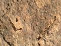 اضغط على الصورة لعرض أكبر. 

الإسم:	PIC_1930.jpg 
مشاهدات:	244 
الحجم:	58.9 كيلوبايت 
الهوية:	757345