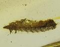اضغط على الصورة لعرض أكبر. 

الإسم:	1a.jpg 
مشاهدات:	417 
الحجم:	72.6 كيلوبايت 
الهوية:	757561