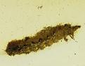 اضغط على الصورة لعرض أكبر. 

الإسم:	2a.jpg 
مشاهدات:	319 
الحجم:	66.6 كيلوبايت 
الهوية:	757562