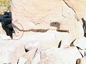 اضغط على الصورة لعرض أكبر. 

الإسم:	طµظˆط±ط©2.jpg 
مشاهدات:	4417 
الحجم:	92.7 كيلوبايت 
الهوية:	758599