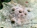 اضغط على الصورة لعرض أكبر. 

الإسم:	11..jpg 
مشاهدات:	214 
الحجم:	99.5 كيلوبايت 
الهوية:	759183