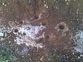 اضغط على الصورة لعرض أكبر. 

الإسم:	&#1605;&#1606;&#1602;&#1604;&#1577;2..jpg 
مشاهدات:	158 
الحجم:	95.0 كيلوبايت 
الهوية:	759397