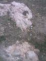 اضغط على الصورة لعرض أكبر. 

الإسم:	صورة009.jpg 
مشاهدات:	161 
الحجم:	68.0 كيلوبايت 
الهوية:	761404