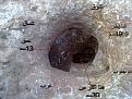 اضغط على الصورة لعرض أكبر. 

الإسم:	06032012577.jpg 
مشاهدات:	639 
الحجم:	98.4 كيلوبايت 
الهوية:	765079