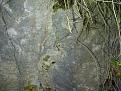 اضغط على الصورة لعرض أكبر. 

الإسم:	IMG-20120425-00237.jpg 
مشاهدات:	1160 
الحجم:	97.6 كيلوبايت 
الهوية:	765096