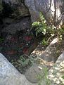اضغط على الصورة لعرض أكبر. 

الإسم:	IMG-20120425-00243.jpg 
مشاهدات:	1064 
الحجم:	97.6 كيلوبايت 
الهوية:	765102