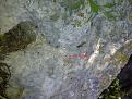 اضغط على الصورة لعرض أكبر. 

الإسم:	IMG-20120425-00246.jpg 
مشاهدات:	1030 
الحجم:	96.5 كيلوبايت 
الهوية:	765105