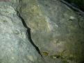 اضغط على الصورة لعرض أكبر. 

الإسم:	IMG-20120425-00247.jpg 
مشاهدات:	1259 
الحجم:	95.8 كيلوبايت 
الهوية:	765106