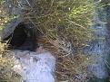 اضغط على الصورة لعرض أكبر. 

الإسم:	IMG-20120425-00249.jpg 
مشاهدات:	1155 
الحجم:	98.8 كيلوبايت 
الهوية:	765108