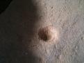اضغط على الصورة لعرض أكبر. 

الإسم:	&#1575;&#1604;&#1580;&#1585;&#1606; &#1602;&#1576;&#1604; &#1575;&#1604;&#1578;&#1606;&#1592;&amp;amp;#1.JPG 
مشاهدات:	324 
الحجم:	1.07 ميجابايت 
الهوية:	765819