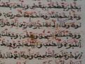 اضغط على الصورة لعرض أكبر. 

الإسم:	IMG_0373.JPG 
مشاهدات:	1005 
الحجم:	579.5 كيلوبايت 
الهوية:	769506