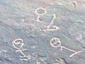 اضغط على الصورة لعرض أكبر. 

الإسم:	2.jpg 
مشاهدات:	172 
الحجم:	20.0 كيلوبايت 
الهوية:	772281