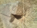 اضغط على الصورة لعرض أكبر. 

الإسم:	vlcsnap-2012-11-21-10h00m22s128.png 
مشاهدات:	183 
الحجم:	148.2 كيلوبايت 
الهوية:	773892