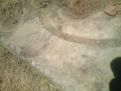 اضغط على الصورة لعرض أكبر. 

الإسم:	vlcsnap-2012-11-21-10h00m56s237.png 
مشاهدات:	206 
الحجم:	140.1 كيلوبايت 
الهوية:	773894